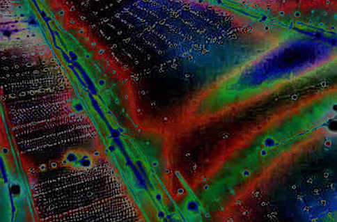 The $97.151 Flash: A Forensic Read on Hyperliquid's All-Time High — and the Three Fields That Aren't There The $97.151 Flash: A Forensic Read on Hyperliquid's All-Time High — and the Three Fields That Aren't There