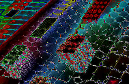 Japan's JPYC Payroll Pilot: A Micro Signal Buried in a Macro Noise Machine Japan's JPYC Payroll Pilot: A Micro Signal Buried in a Macro Noise Machine
