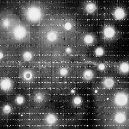 The CLARITY Signal: Decoding the Senate's Regulatory Narrative and Bitcoin's Structural Yield