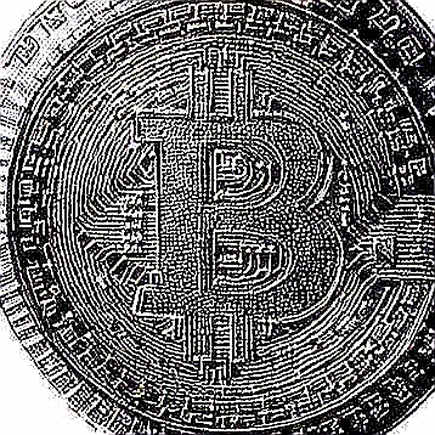 The Wisconsin Governor Poll: Auditing the Political Risk Premium in Crypto Markets