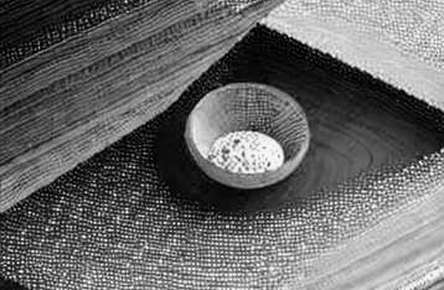 The Perilous Bridge: When Semiconductor Leverage Meets Crypto's Transparency Void The Perilous Bridge: When Semiconductor Leverage Meets Crypto's Transparency Void