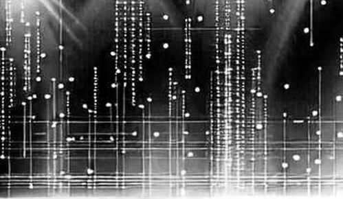Whale Signals on Decentralized Storage: When Real Yield Meets AI's Hunger Whale Signals on Decentralized Storage: When Real Yield Meets AI's Hunger