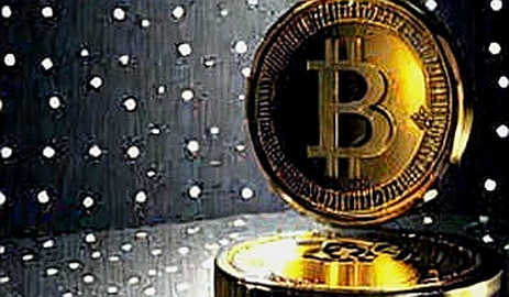 The Silent Ledger: Why Empty Data Speaks Louder Than Any Hype